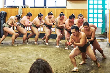 Sumo Morning Practice Viewing Tour
