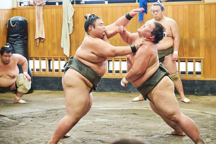 Sumo Morning Practice Viewing Tour