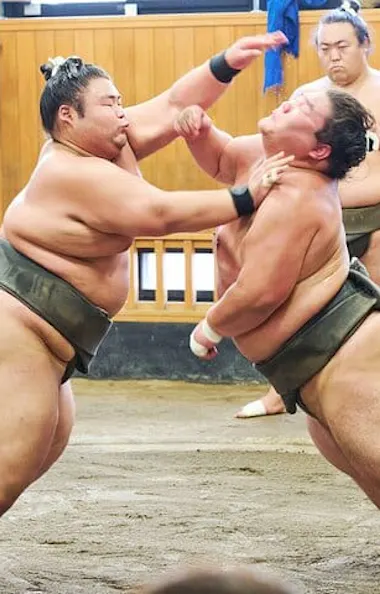Sumo Morning Practice Viewing Tour Sumo Morning Practice Viewing Tour