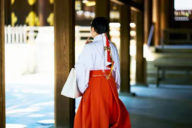 Meiji Shrine Walking Tour