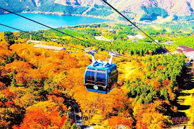 Mt Fuji and Hakone Tour
