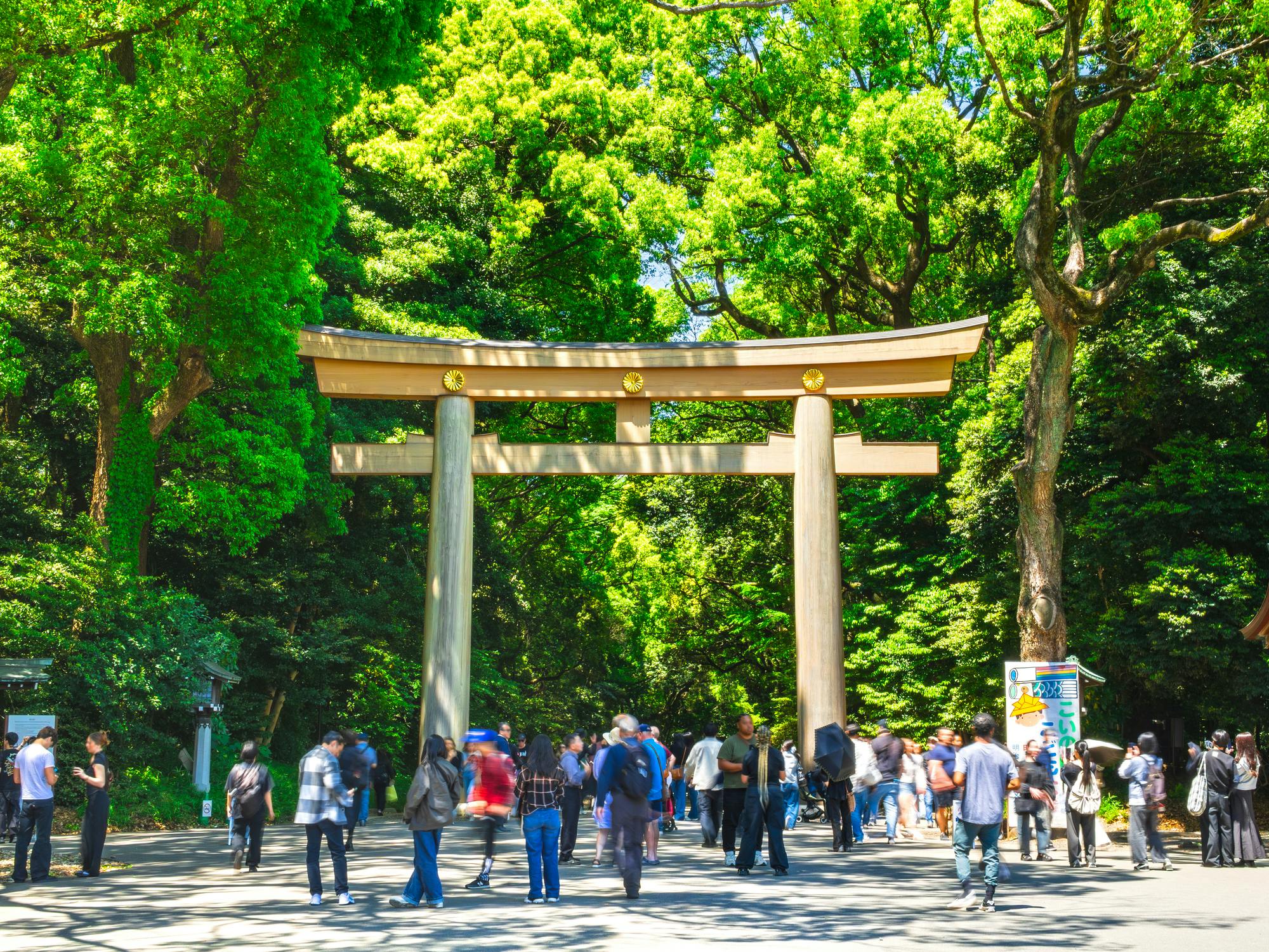 Tokyo: Meiji Shrine Walking Tour, Shintoism and Imperial System