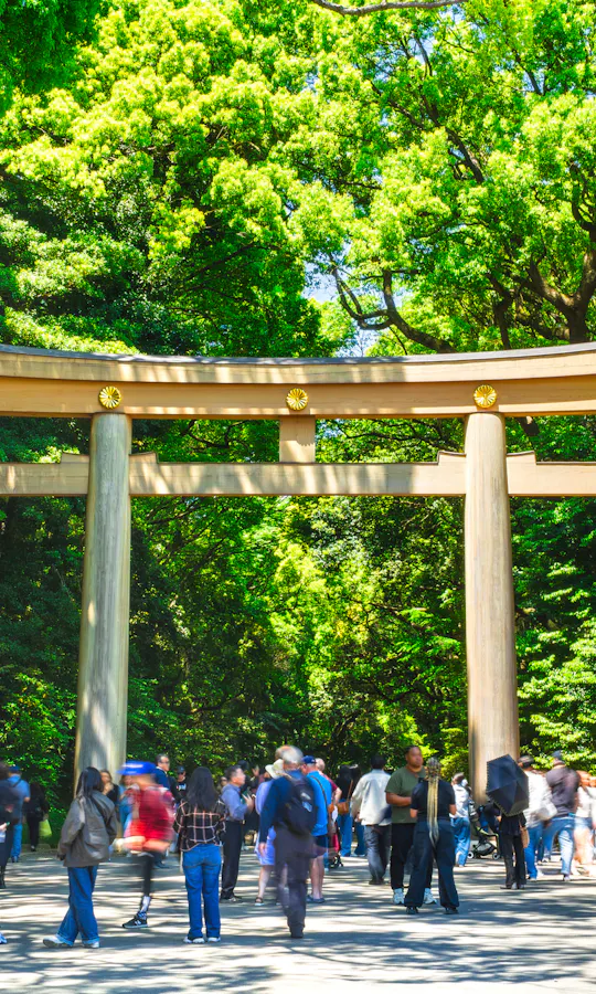 Meiji Shrine Meiji Shrine