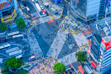 Shibuya Scramble Crossing
