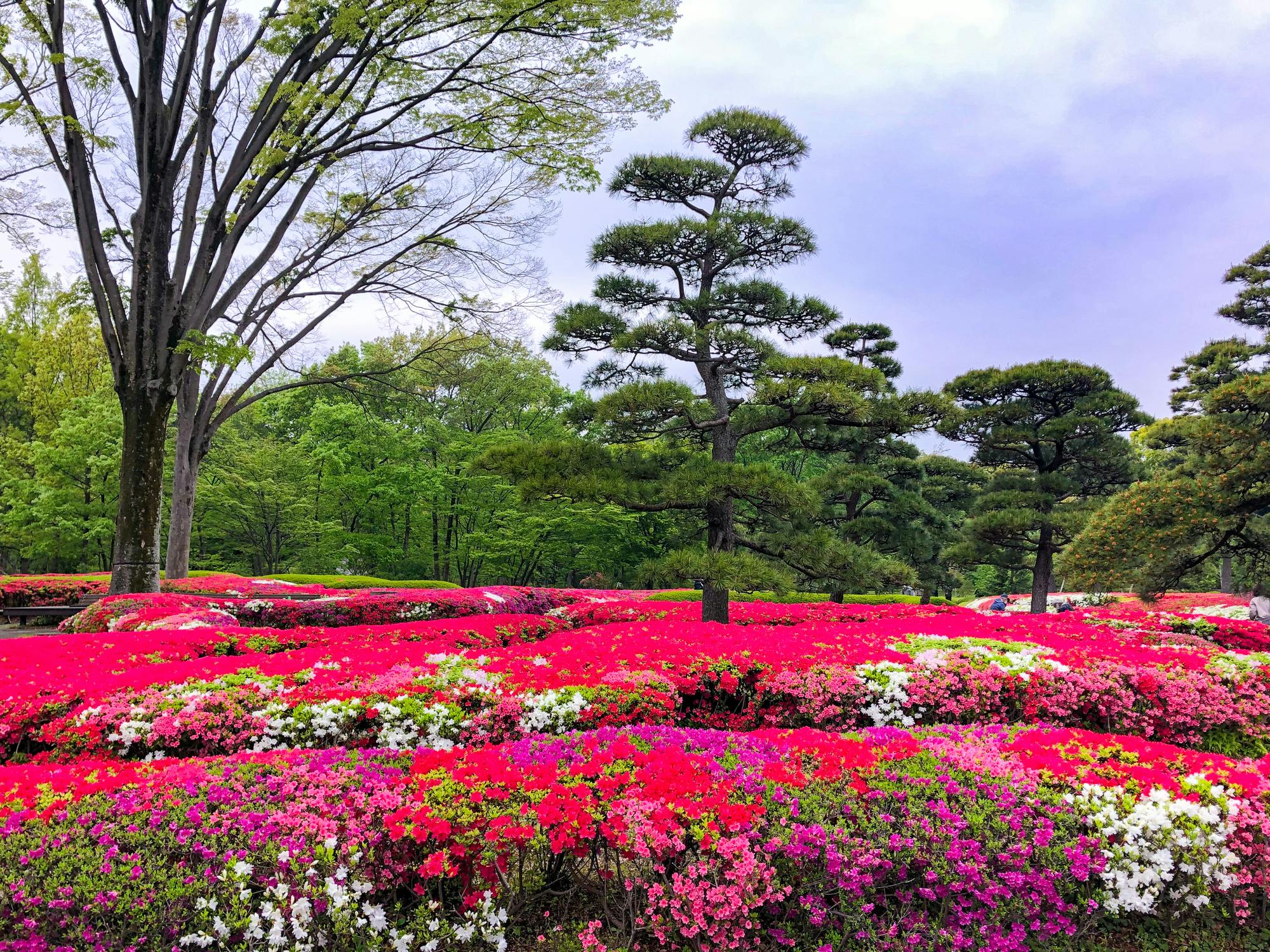 Imperial Palace East Gardens