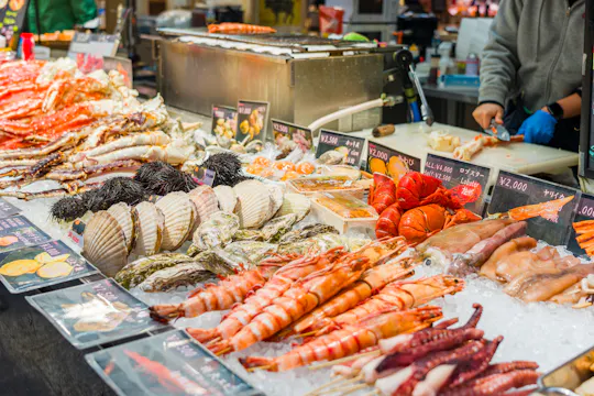Tsukiji Outer Market