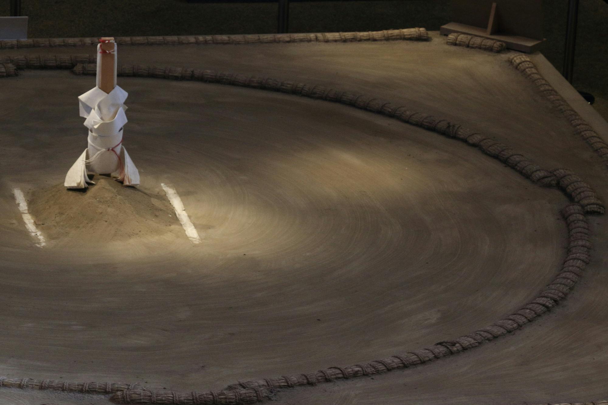Sumo Practice