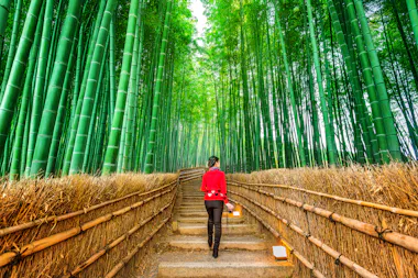 Arashiyama Bamboo Grove