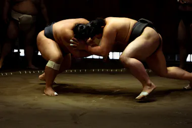 Sumo Wrestling