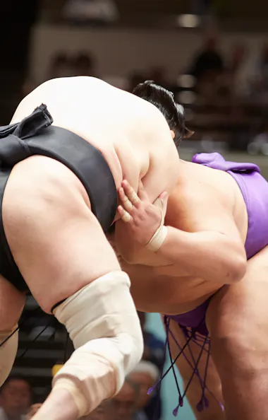 Sumo Wrestling Sumo Wrestling