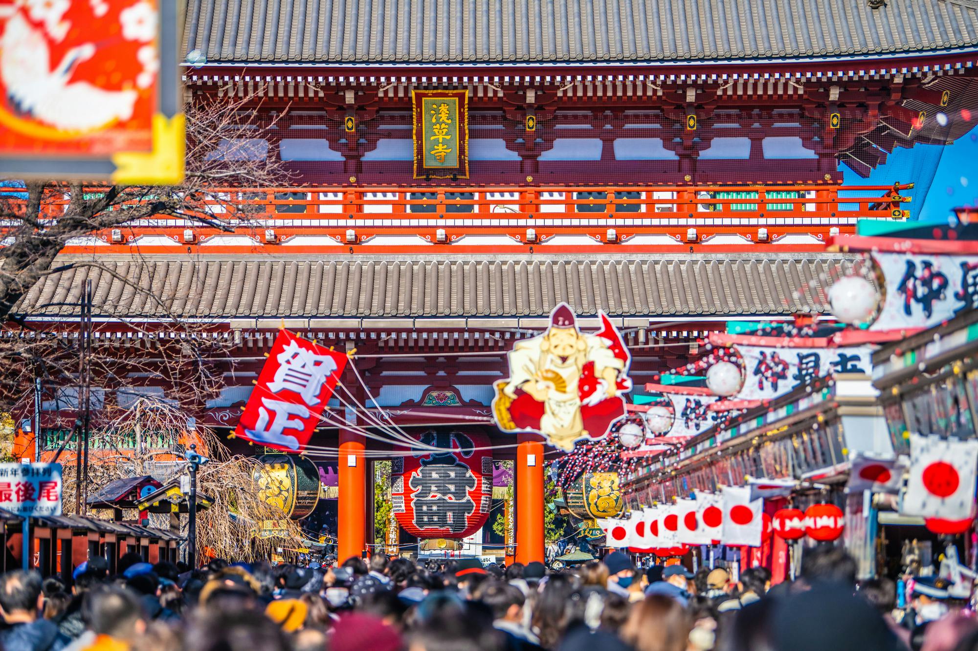 Tokyo Private Customized Walking Tours with Local Guide
