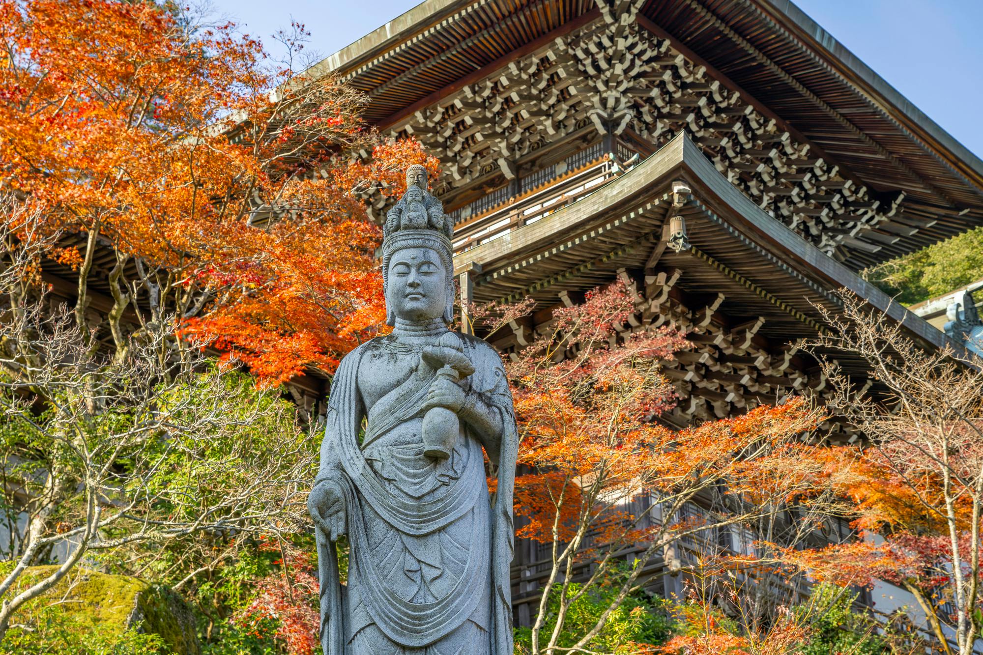 Miyajima Half Day Group Tour from Hiroshima Station