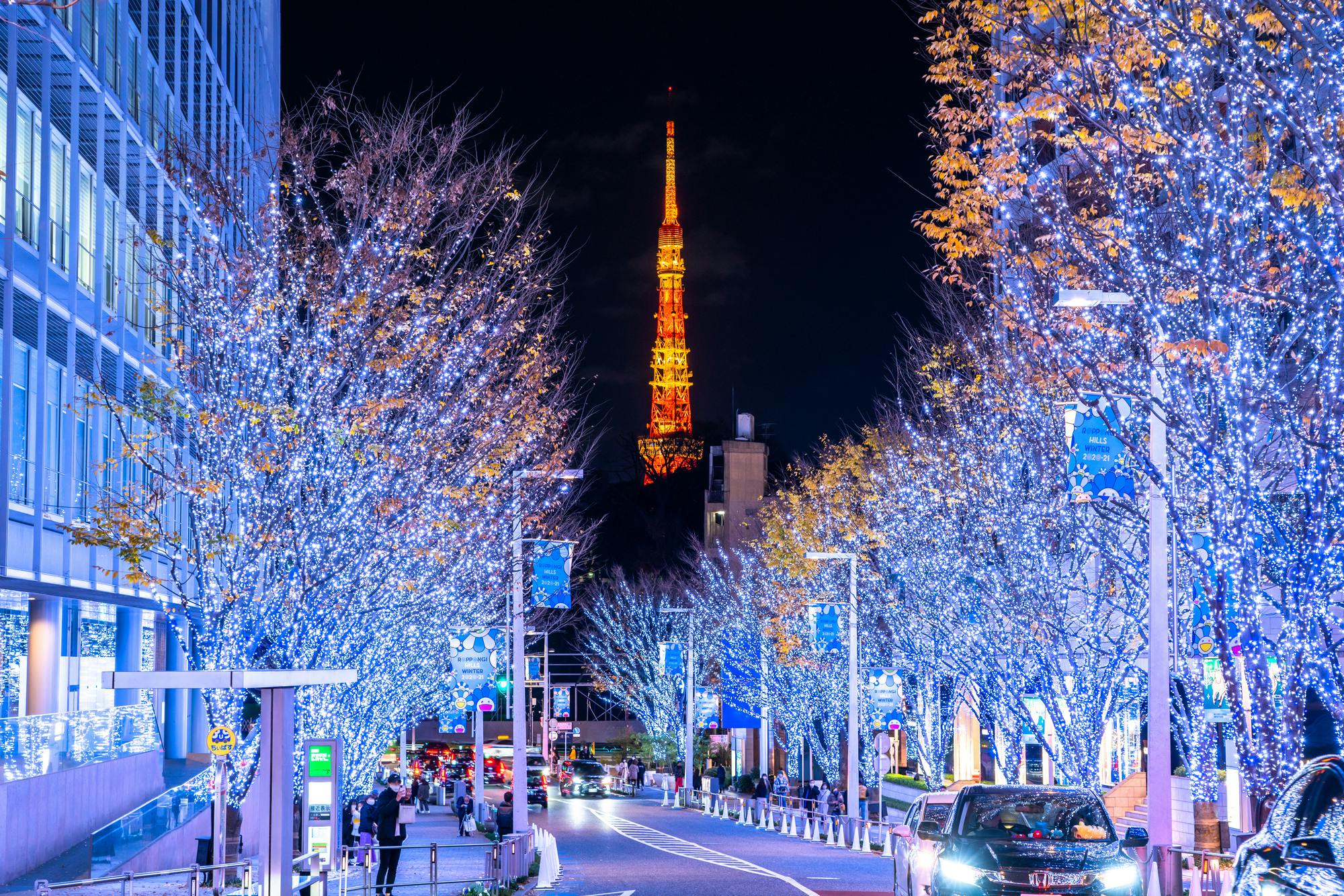 Tokyo Night Bike Tour: Shibuya, City Lights & Tokyo Tower