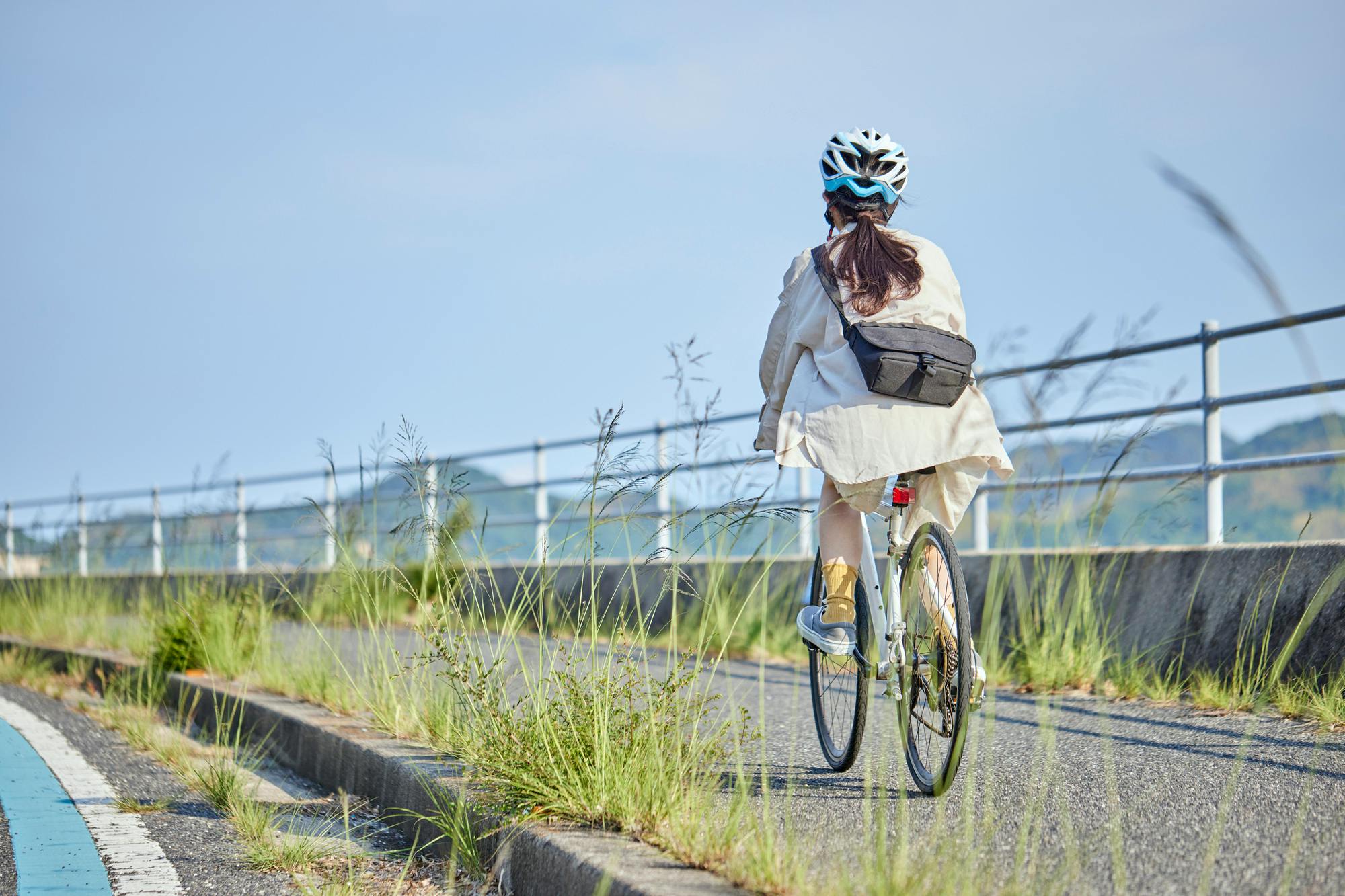 Savor Setouchi Inland Sea Local Food & Bike Tour with Local Guide