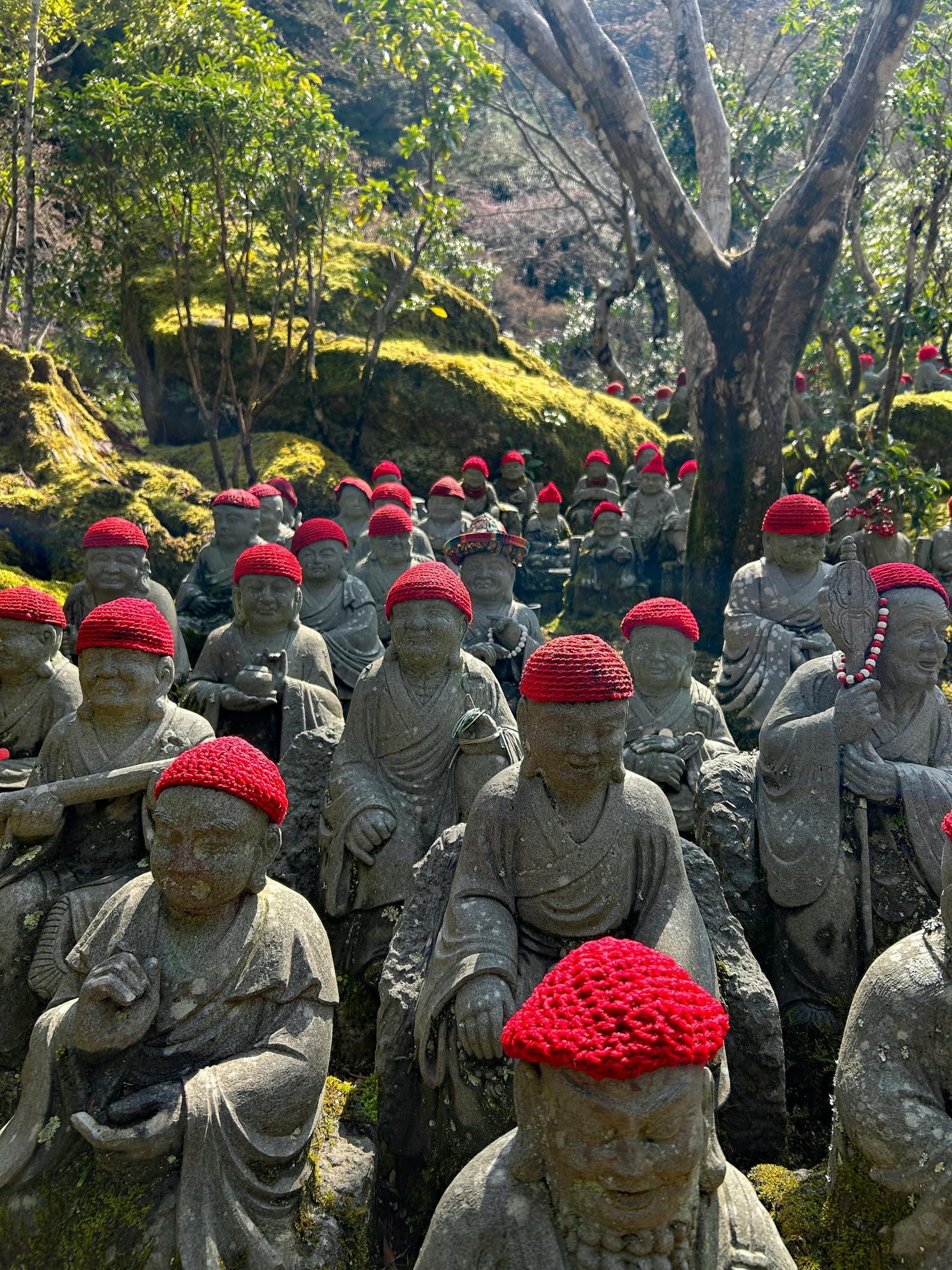 Miyajima Must-Visit Spot Tour (Private)