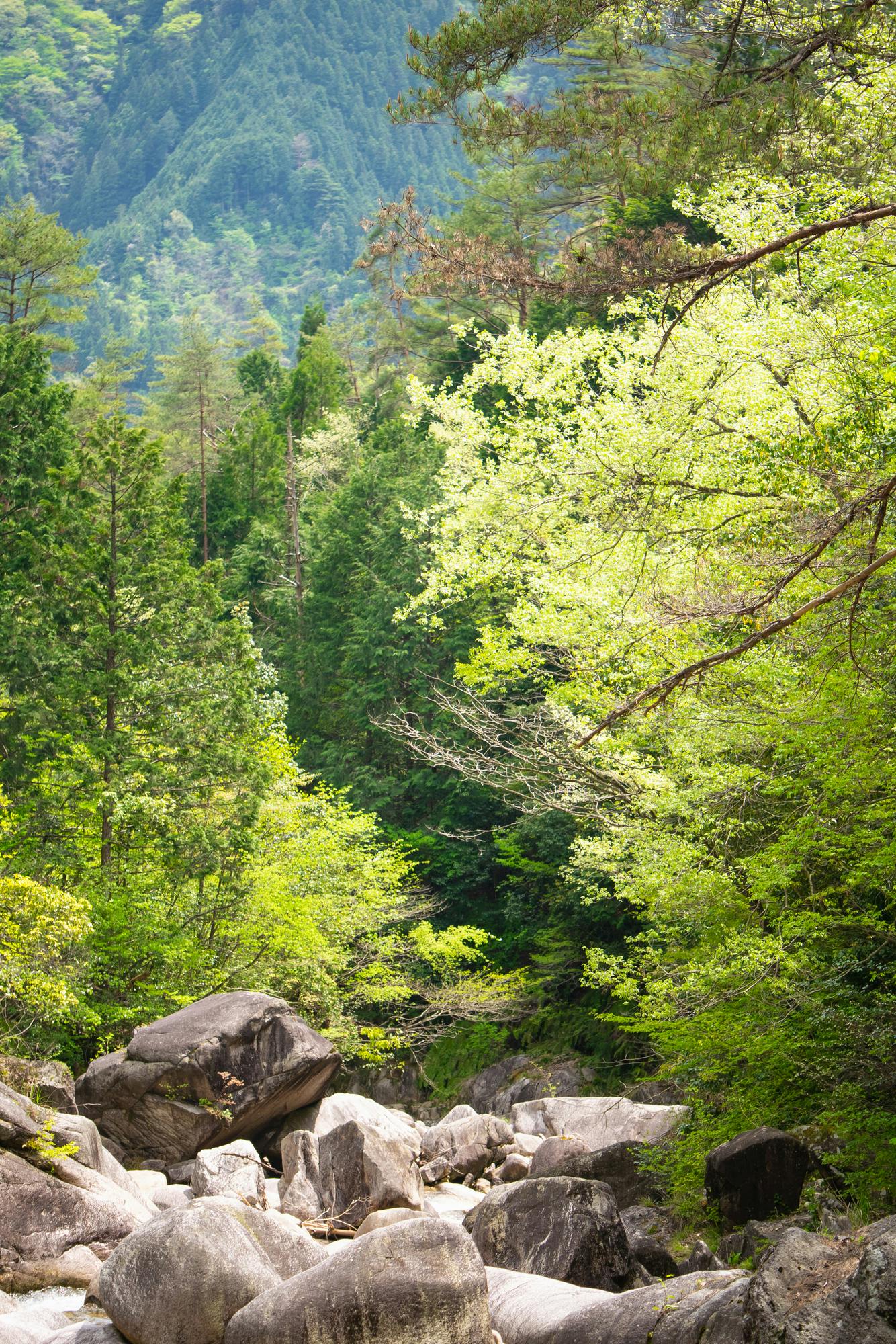 Inaka Food & E-Bike Tour in Yuki