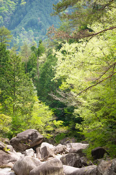 Ishigatani Gorge