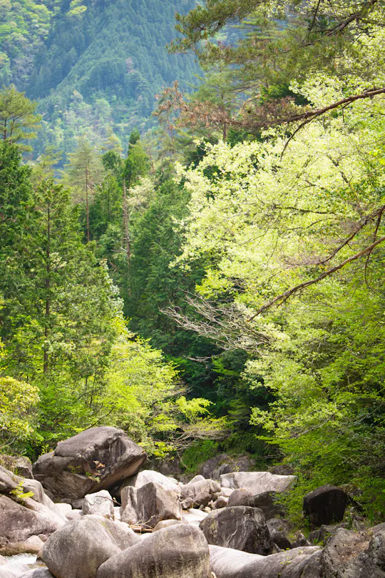 Ishigatani Gorge