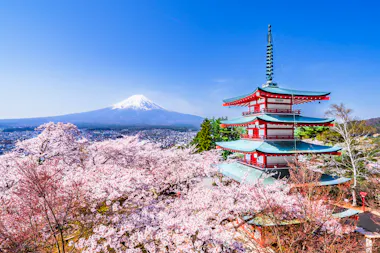 Arakurayama Sengen Park