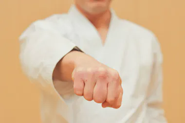 Tokyo Karate Dojo Activity