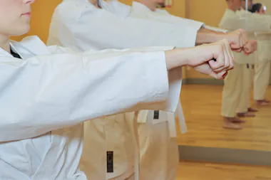 Tokyo Karate Dojo Activity