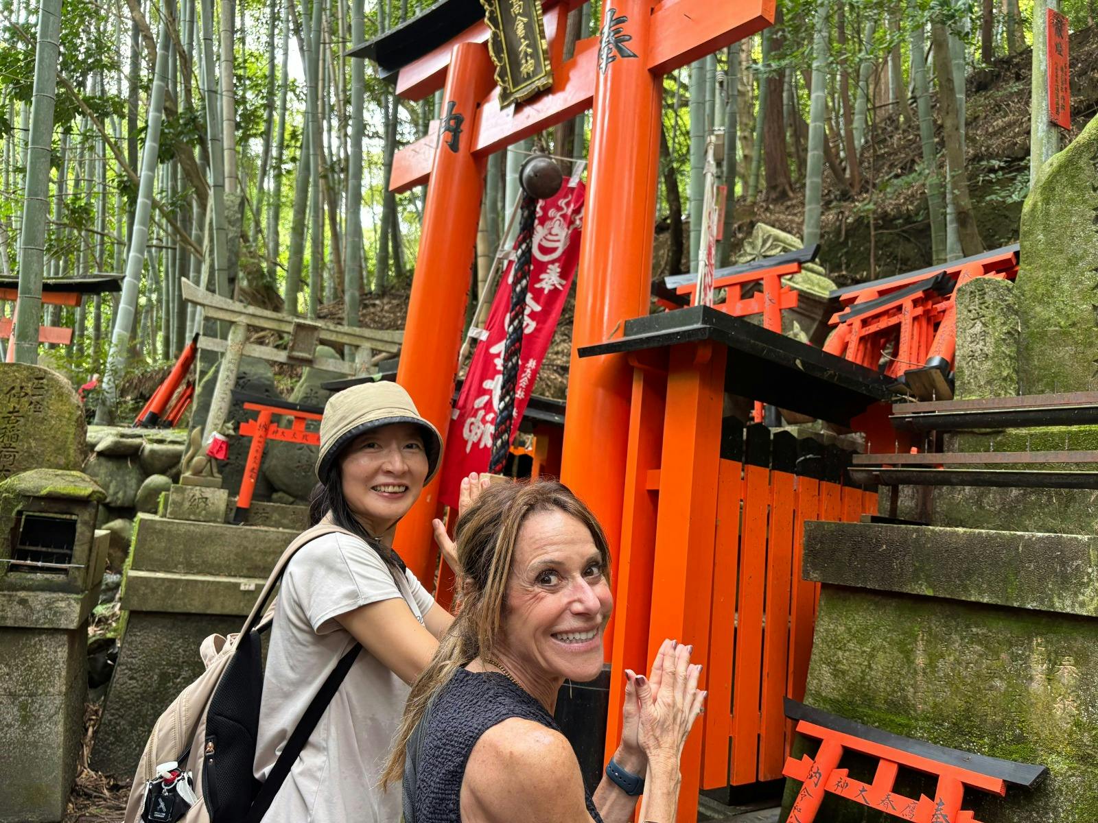 Private Kyoto History and Culture Tour from Osaka