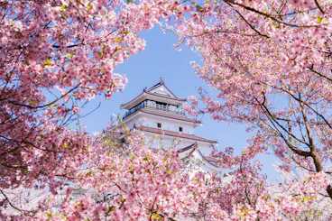 Tsuruga Castle