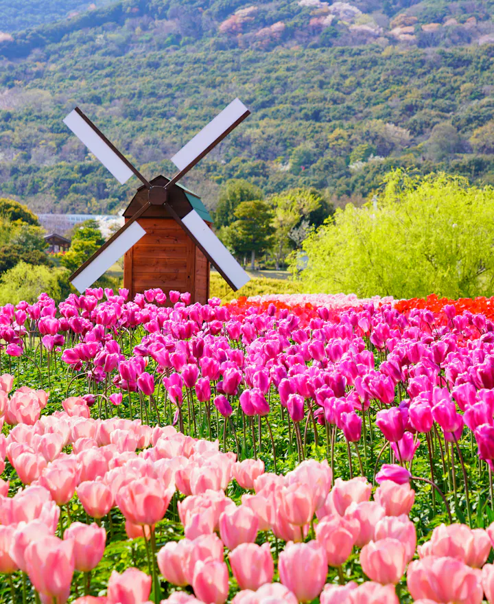 National Akashi Kaikyo Park National Akashi Kaikyo Park