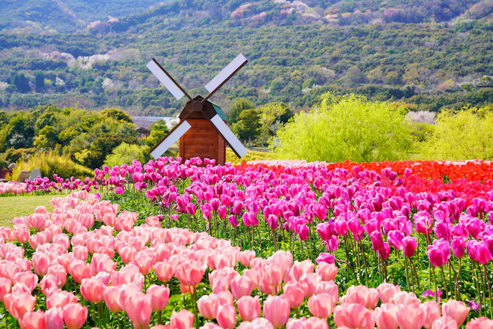 National Akashi Kaikyo Park