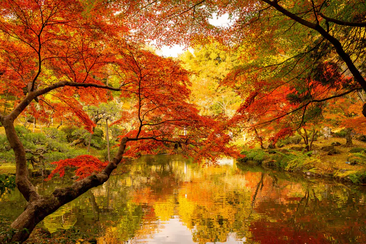 Naritasan Park