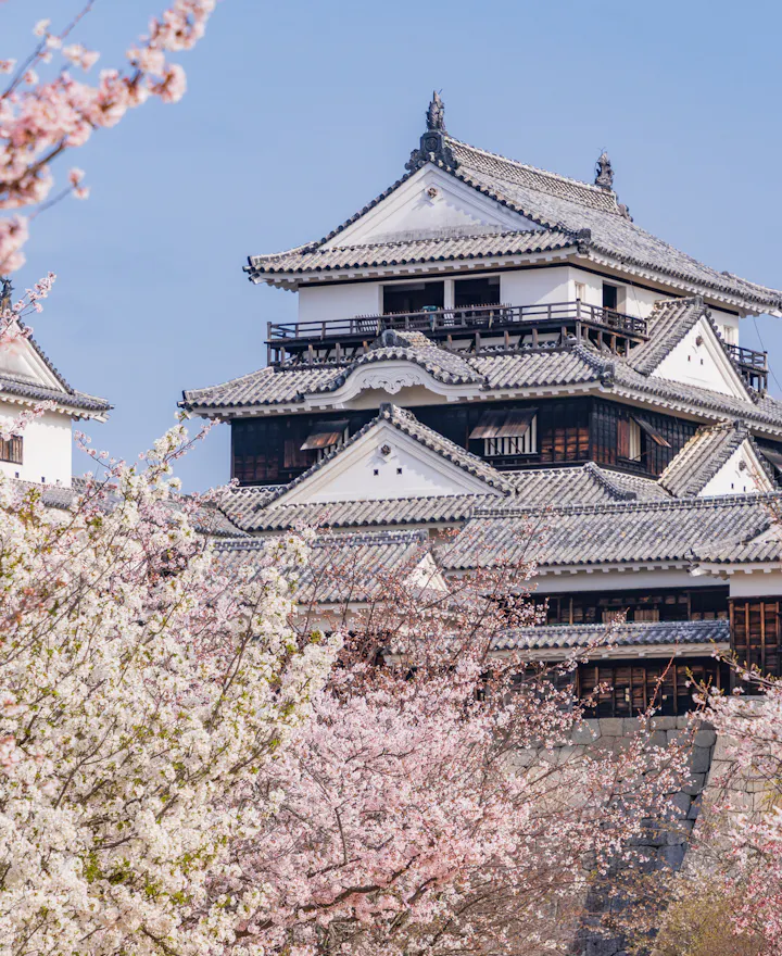Matsuyama Castle Matsuyama Castle
