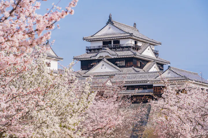 Matsuyama Castle