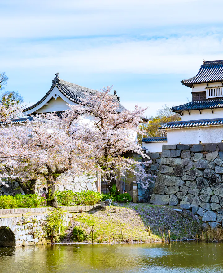 Fukuoka Castle Ruins Fukuoka Castle Ruins