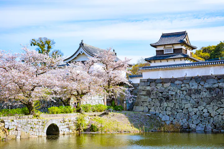 Fukuoka Castle Ruins