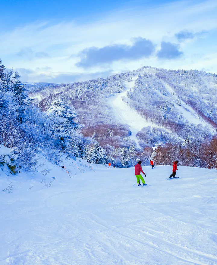 Appi Kogen Ski Resort Appi Kogen Ski Resort
