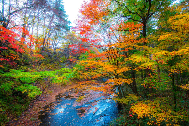 Hanamaki Onsen