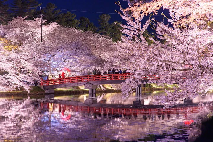 Hirosaki Park