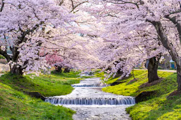 Kannonji River