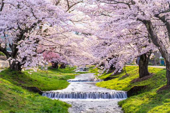 Kannonji River