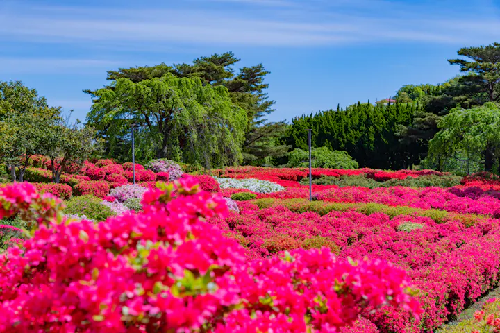 Komuroyama Park