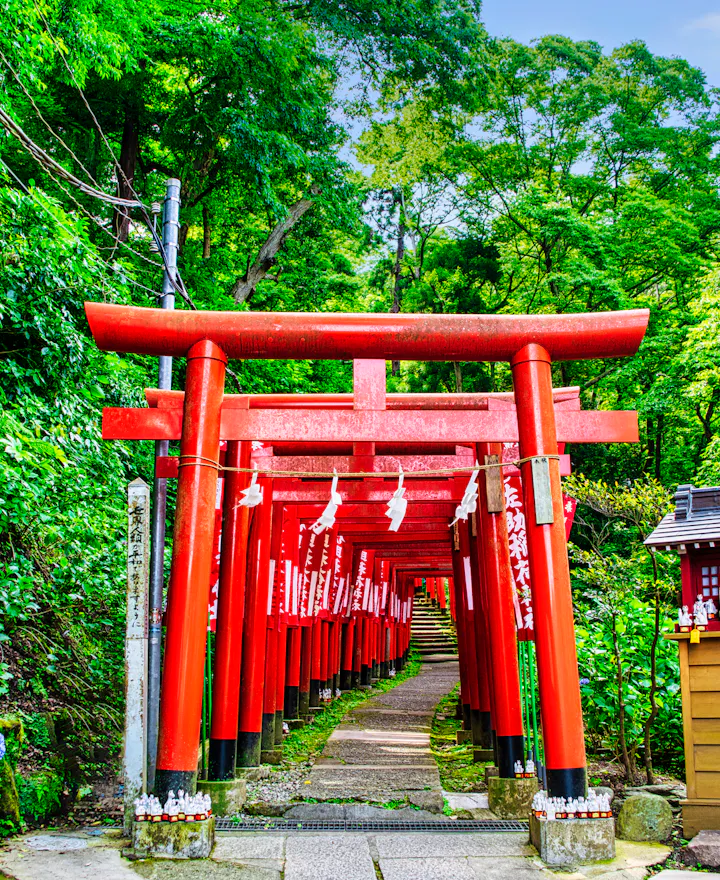 Sasuke Inari Shrine Akatorii Sasuke Inari Shrine Akatorii