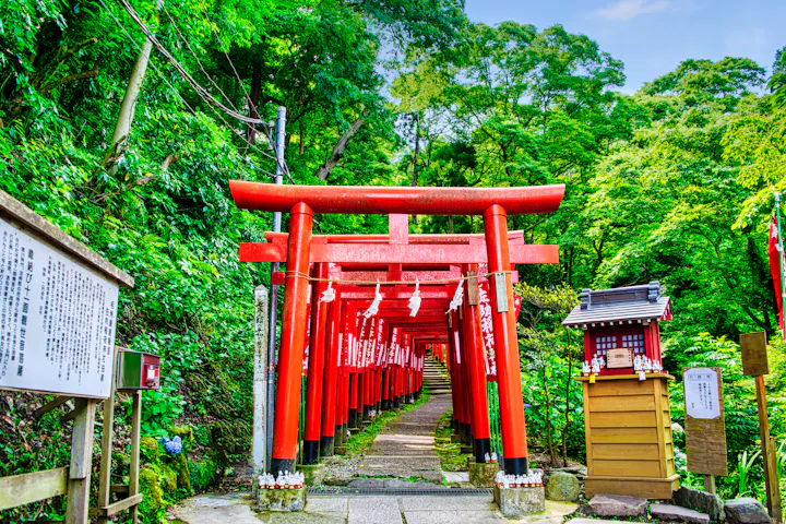 Sasuke Inari Shrine Akatorii