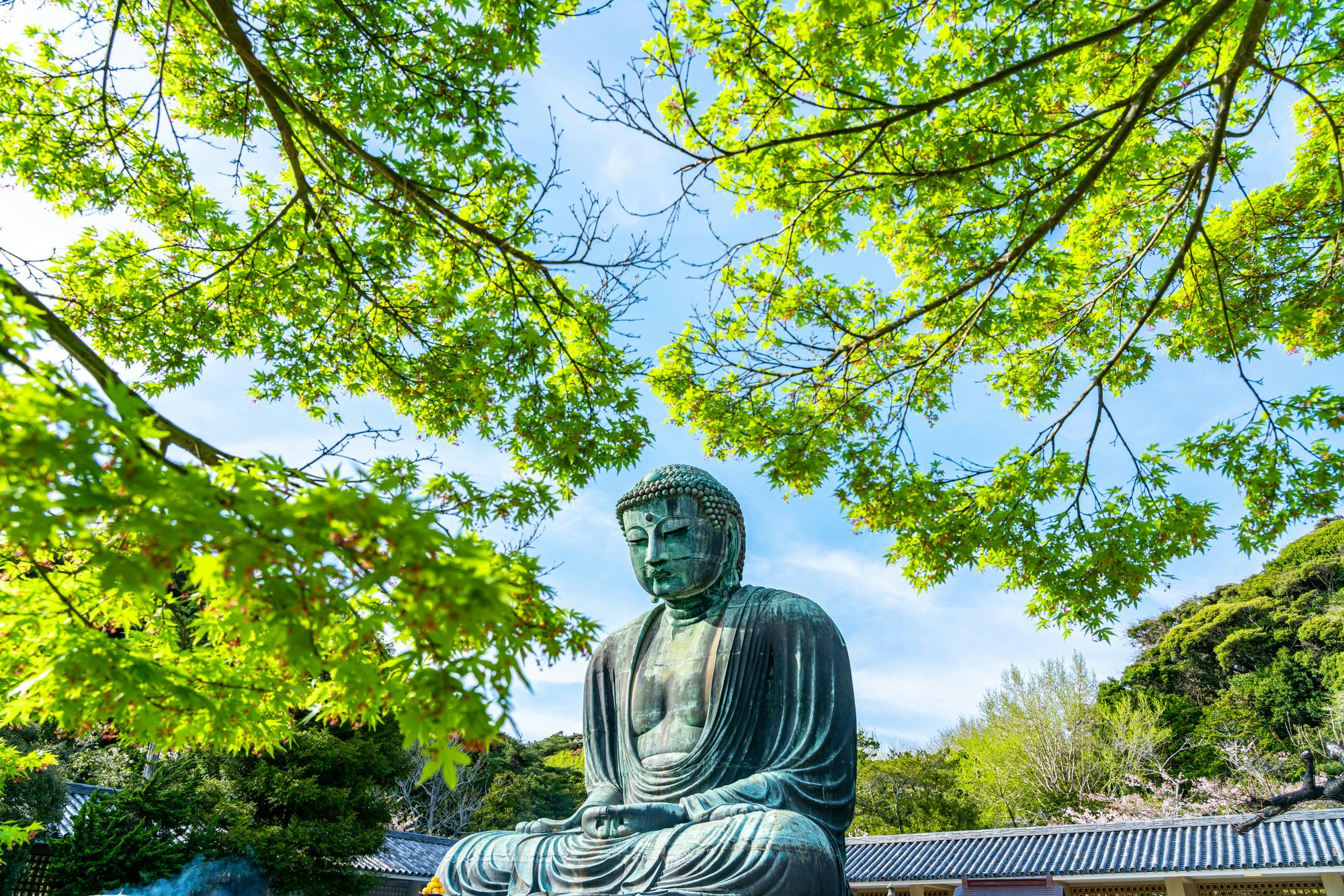 The Great Buddha