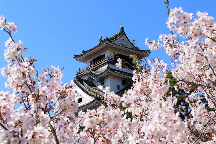 Kochi Castle