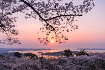 Saigyo Moshidorinomatsu Park