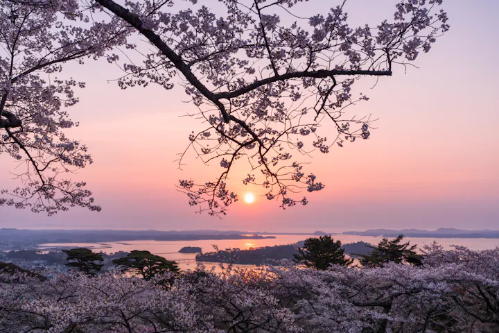 Saigyo Moshidorinomatsu Park