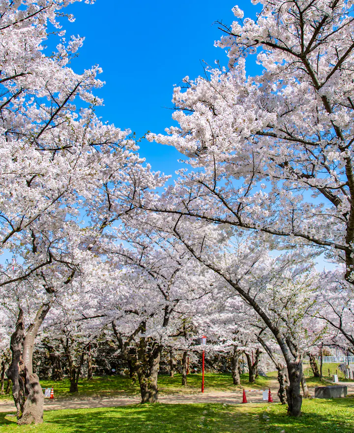 Morioka Castle Ruins Park Morioka Castle Ruins Park