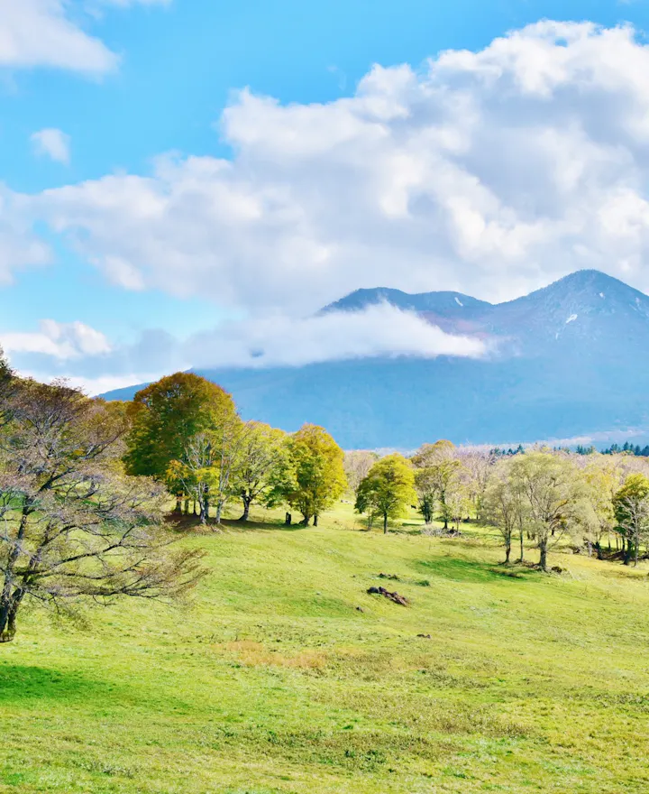 Sasagamine Highland Sasagamine Highland