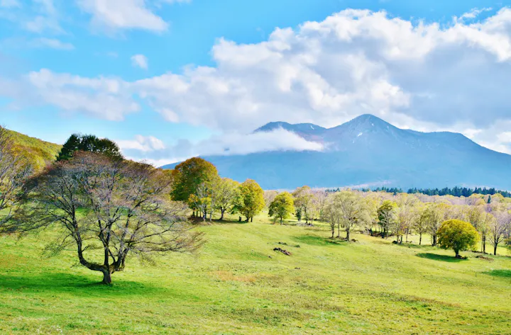 Sasagamine Highland