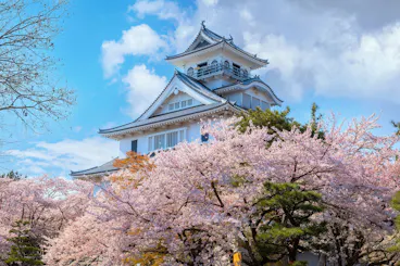 Nagahama Castle